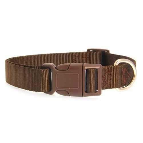 Nylon Dog Collar by Zack & Zoey - Chocolate