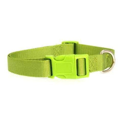 Nylon Dog Collar by Zack & Zoey - Parrot Green
