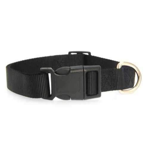 Nylon Dog Collar by Zack & Zoey - Jet Black
