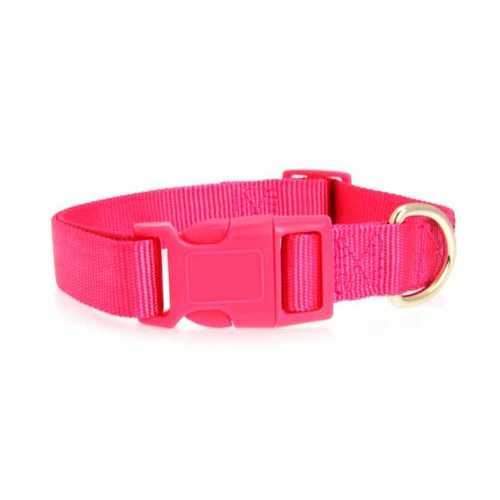 Nylon Dog Collar by Zack & Zoey - Raspberry Sorbet