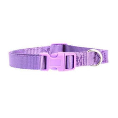 Nylon Dog Collar by Zack & Zoey - Ultra Violet
