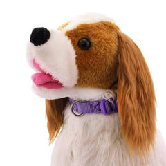 Nylon Dog Collar by Zack & Zoey - Ultra Violet
