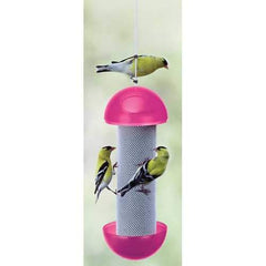 Have-a-ball Finch Feeder