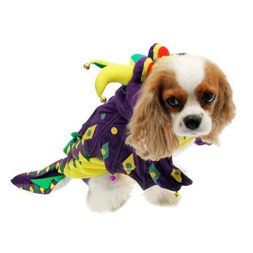 Mardi Paws Dragon Dog Costume