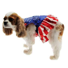 Superhero Dog Costume - Wonder Dog Dress