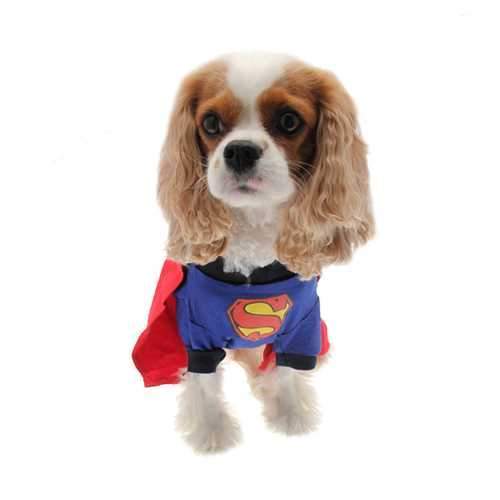 Superhero Dog Costume - Super Dog