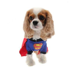 Superhero Dog Costume - Super Dog
