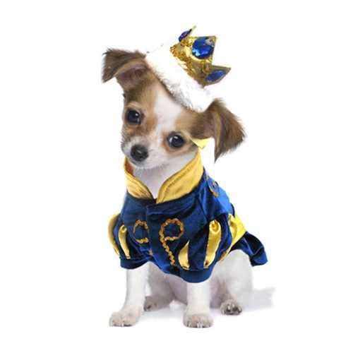 Prince Charming Dog Costume
