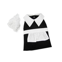 Pilgrim Girl Dog Costume