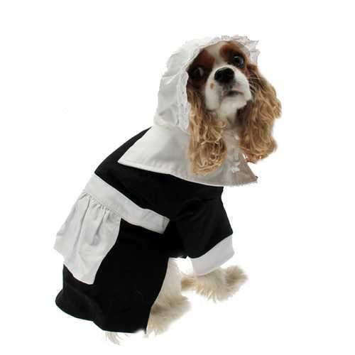 Pilgrim Girl Dog Costume