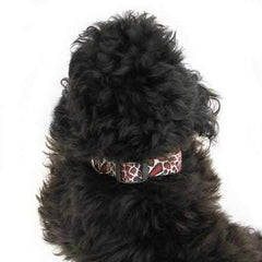 East Side Collection Animal Print Dog Collar - Giraffe