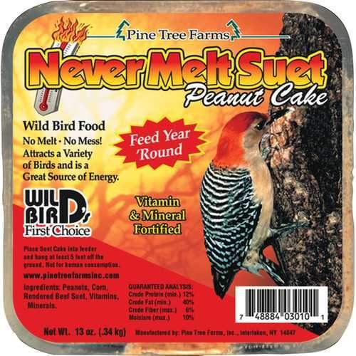 Never Melt Suet Cake