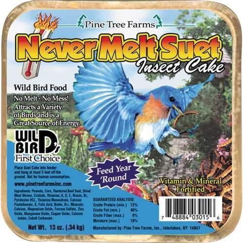 Never Melt Suet Cake
