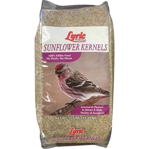 Sunflower Kernel