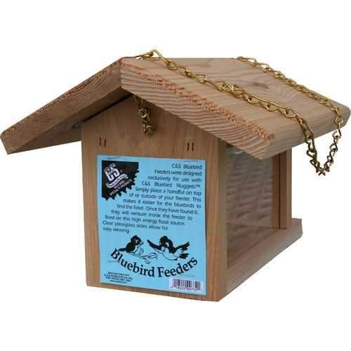 Bluebird Feeder
