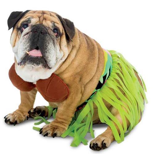 Zelda Hula Dog Costume
