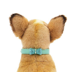 Bow-dacious Crystal Dog Collar - Aqua
