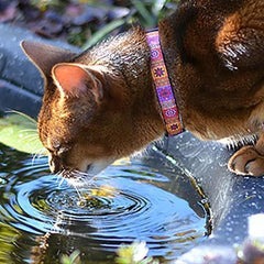 Kitty Breakaway Cat Collar - Trendy Mehndi
