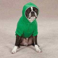 Fleece Lined Dog Hoodie by Zack & Zoey - Green