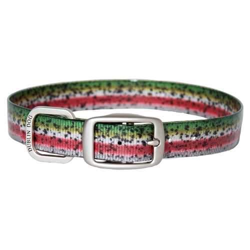 Rainbow Trout Dog Collar by Dublin Dog