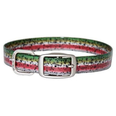 Rainbow Trout Dog Collar by Dublin Dog