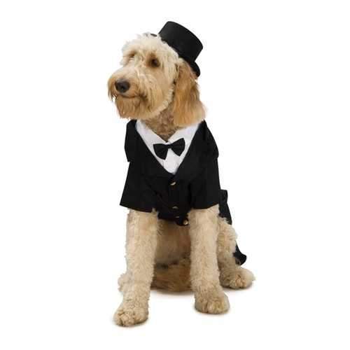 Dapper Dog Halloween Costume