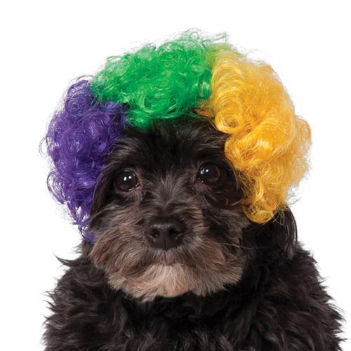 Rubie's Mardi Gras Afro Dog Wig