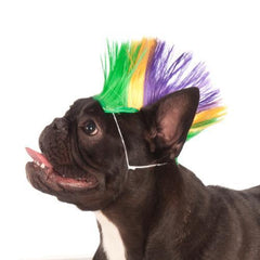 Mohawk Dog Wig - Mardi Gras