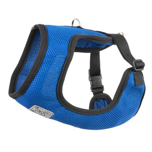 Cirque Dog Harness - Cobalt Blue Air Mesh