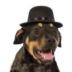 Rubie's Top Hat Dog Costume - Black