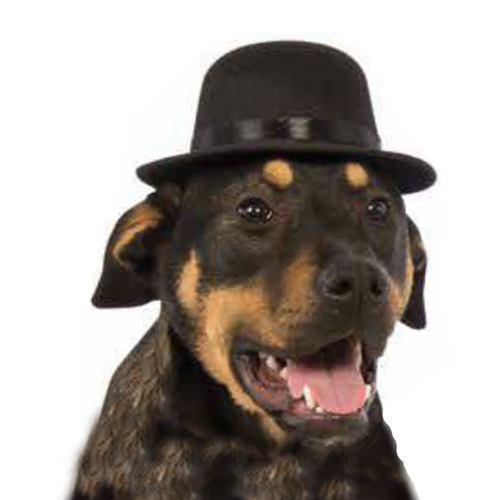 Rubie's Top Hat Dog Costume - Black