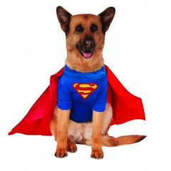 Superman Dog Halloween Costume - Big Dog Edition