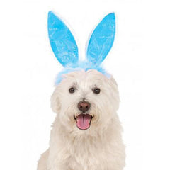 Easter Bunny Ears Dog Custume Headpiece - Blue