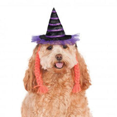 Purple Witch Dog Hat with Braids