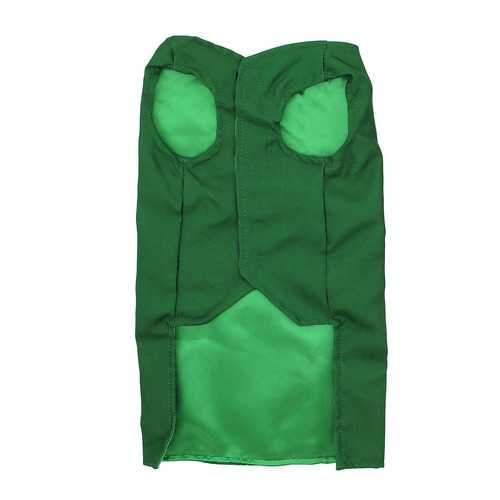 Leprechaun Dog Costume