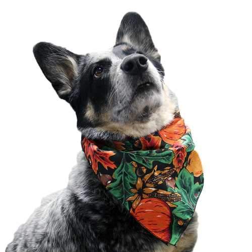Top Performance Fall Dog Bandana