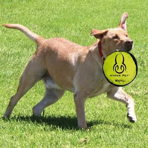 Hyper Flippy Flopper Dog Disc
