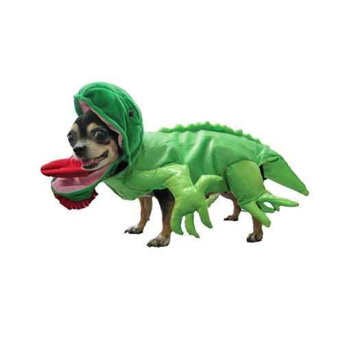 Iguana Dog Halloween Costume