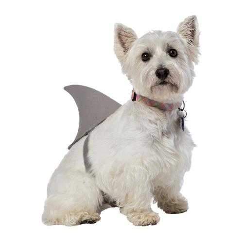 Shark Fin Dog Costume by Rasta Imposta