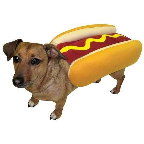 Hot Dog with Mustard Dog Costume by Rasta Imposta