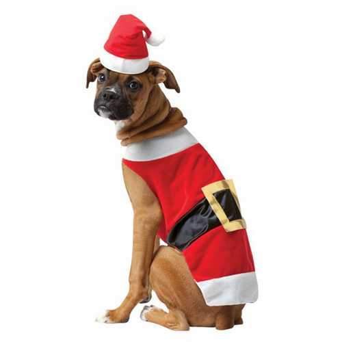 Santa Dog Costume by Rasta Imposta
