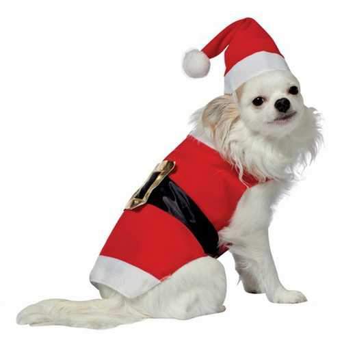 Santa Dog Costume by Rasta Imposta