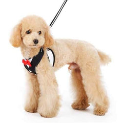 EasyGo Bowtie Dog Harness by Dogo - Black