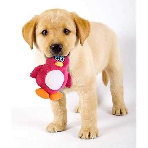 Hear Doggy Plush Dog Toy - Penguin