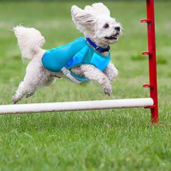 Ultimate Cooling Dog Coat by Canine Equipment