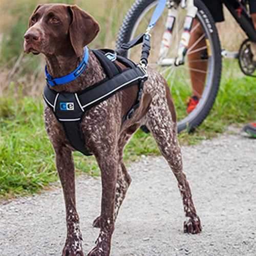 Ultimate Pulling Dog Harness by Canine Equipment - Black