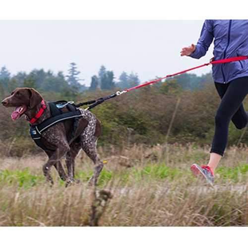 Ultimate Pulling Dog Harness by Canine Equipment - Black