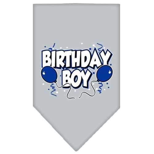 Birthday Boy Screen Print Dog Bandana - Gray