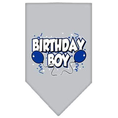 Birthday Boy Screen Print Dog Bandana - Gray