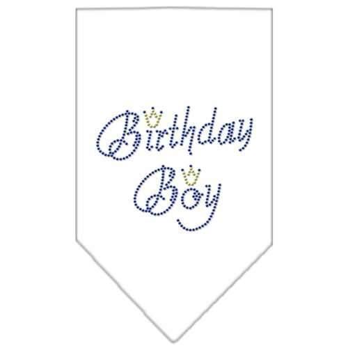 Birthday Boy Rhinestone Dog Bandana - White